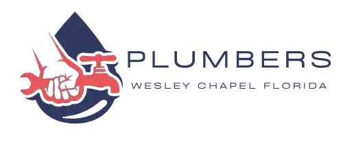 Wesley ChapelPlumber Wesley Chapel Fl